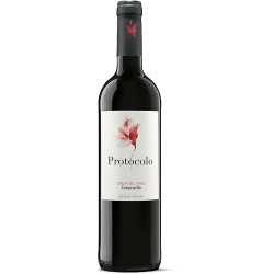 VINO TINTO PROTOCOLO ECO 2017 